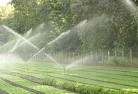 Coombelandscaping-water-management-and-drainage-17.jpg; ?>